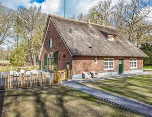 brown bungalow house