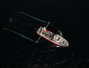 top view of a ship sailing in the sea