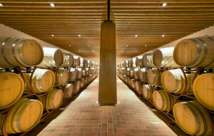 farnese vini barrels | Platinum Equity