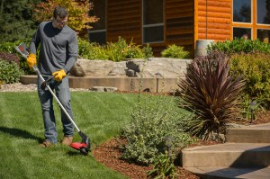 man mowing lawn