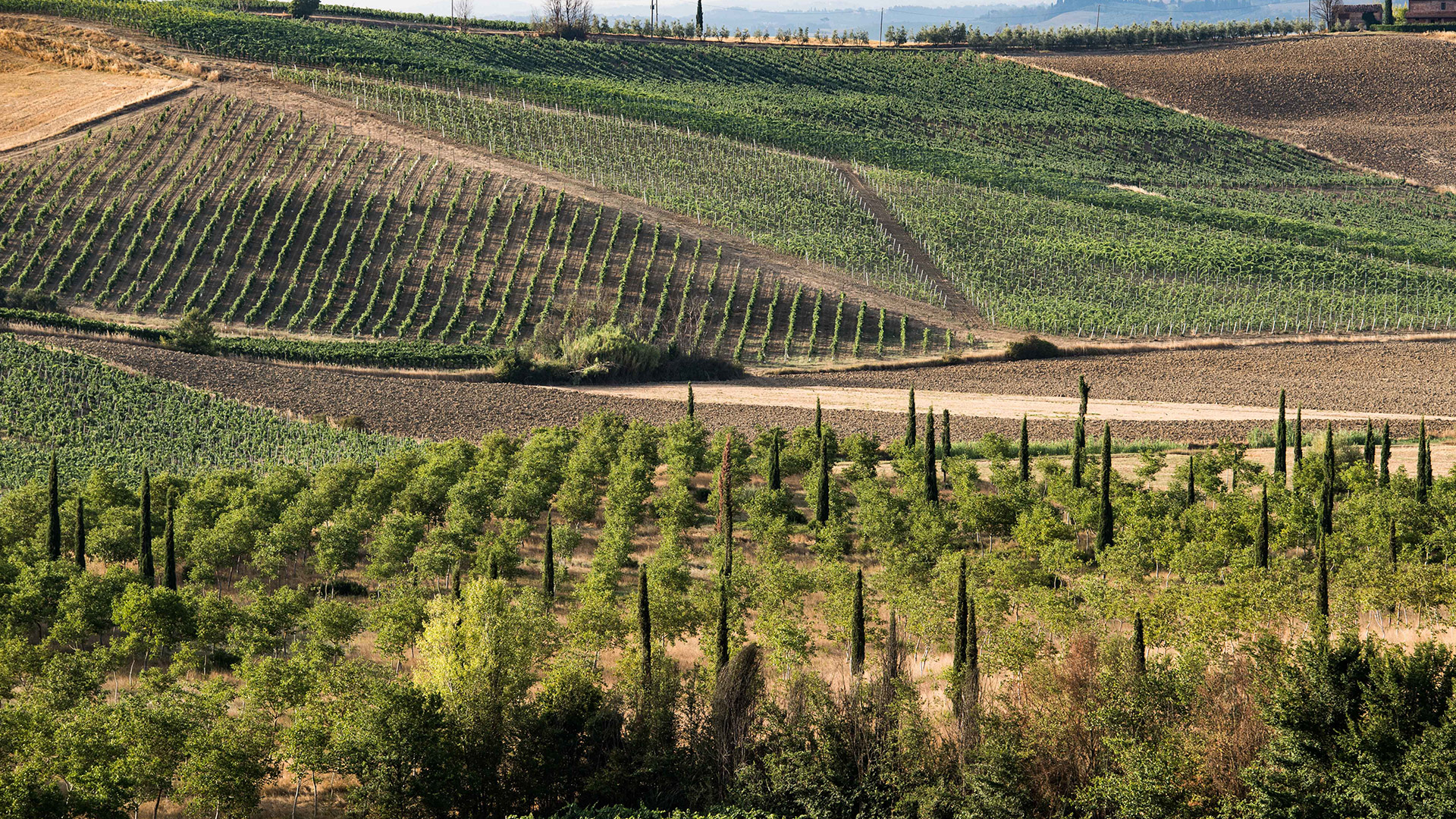 Fantini Group