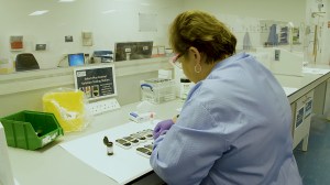 woman working in a lab
