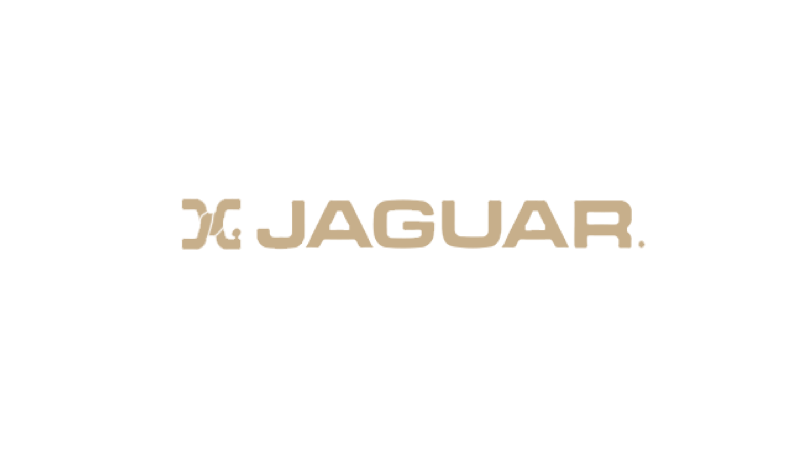 Jaguar International Corporation Hanoi (SVP)