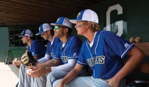 The image shows four baseball players in blue "Hawks" uniforms sitting in a dugout. They are wearing white and blue caps, and a couple of them have black eye paint under their eyes. The players appear focused, possibly watching the game in progress. | Platinum Equity