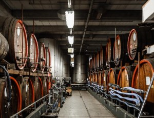 view of a liquor factory with rows of barrels