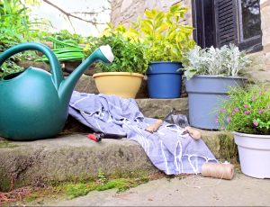 Plants on the curb of a house with a watering can